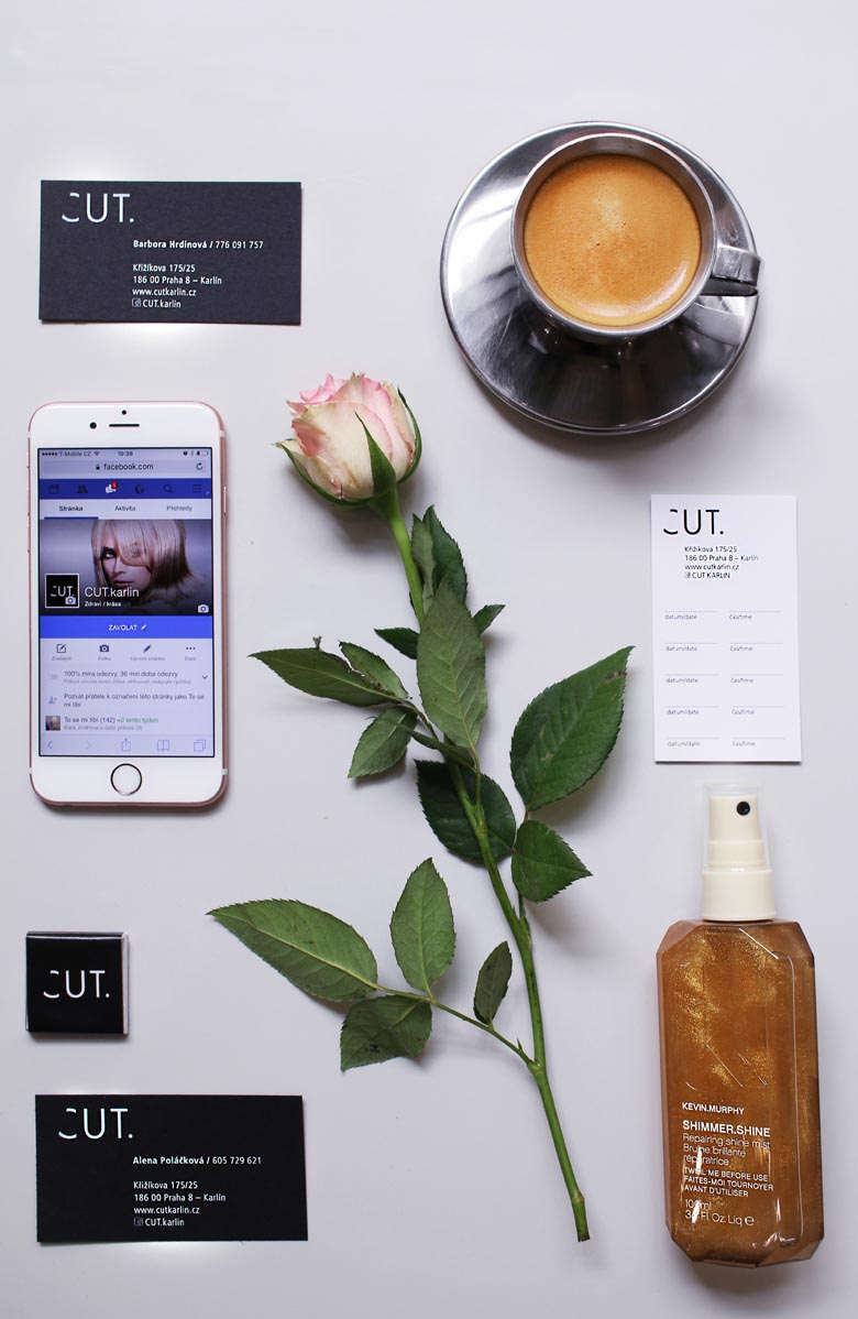 cut-karlin_0002_CUT_foto_Traga-2.jpg