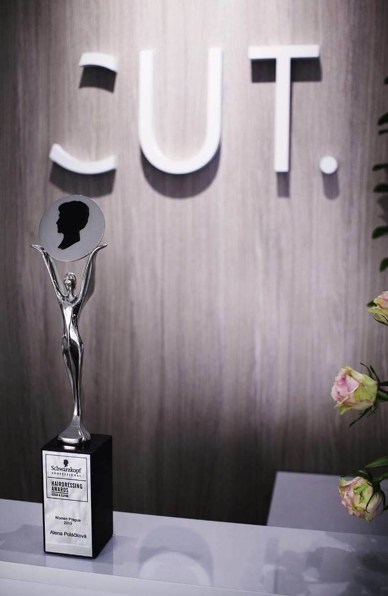 cut-karlin_0006_sout-Hairdressing-Awards-2013---cena.jpg